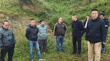 喜德縣工業(yè)強縣工作專班調(diào)研尼波建筑用玄武巖開發(fā)利用項目工作開展情況