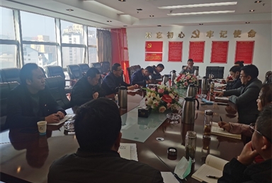 涼山工投集團(tuán)黨委書記袁欣到大橋水電公司開展學(xué)習(xí)貫徹黨的十九屆五中全會精神交流座談會