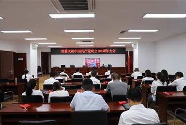 涼山工投集團(tuán)黨員職工觀看中國共產(chǎn)黨建黨100周年大會盛況