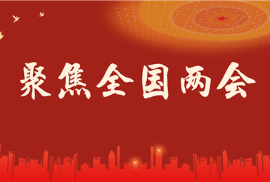 重溫總書記在兩會上的重要講話