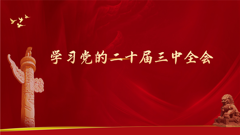 學(xué)習(xí)宣傳貫徹黨的二十屆三中全會(huì)精神