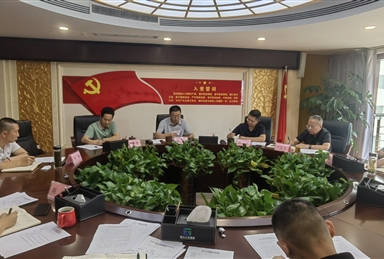 涼山工投集團黨委傳達(dá)學(xué)習(xí)黨的二十屆三中全會精神